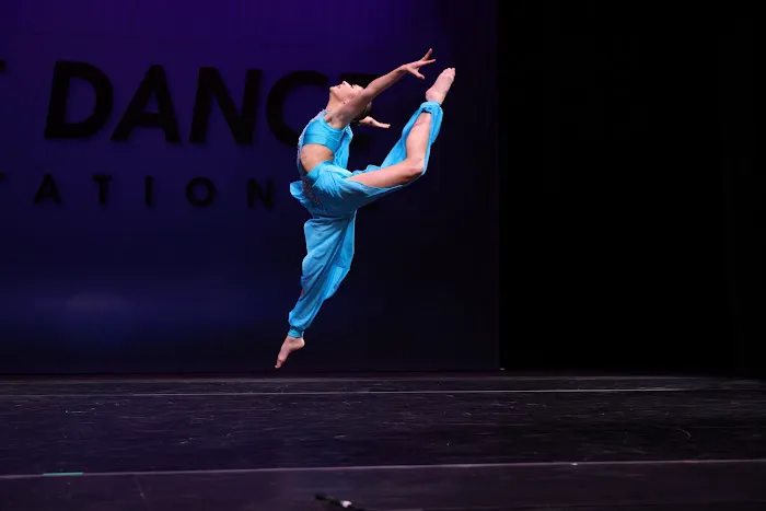 Project Performer Picture 1
