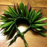 Halau Ka Lei Kukui Hi'ilani - Mainland USA Extension ico