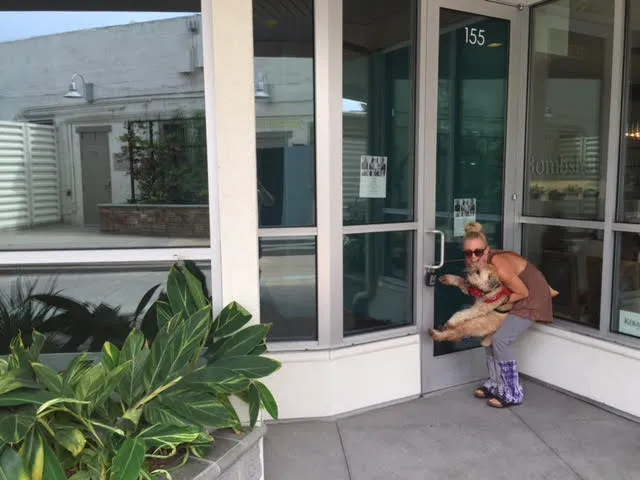 Evolve Yoga & Movement Picture 5
