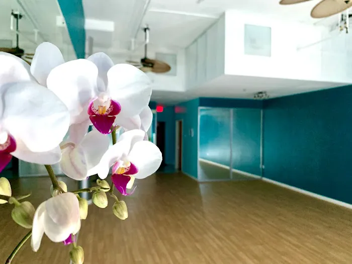 Shimmy Studio Picture 9