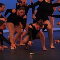 Carlsbad Performing Arts Academy ico