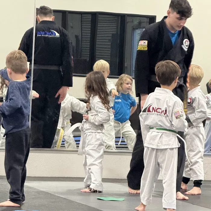 North County Martial Arts Picture 5