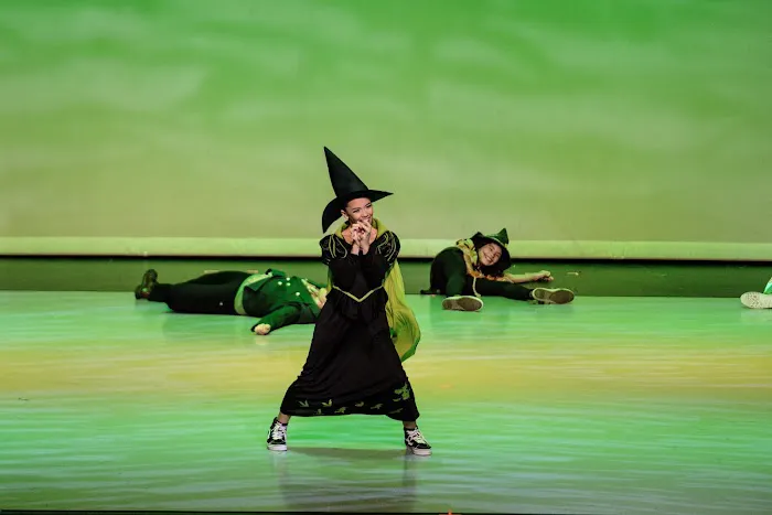 North County Academy of Dance Picture 8