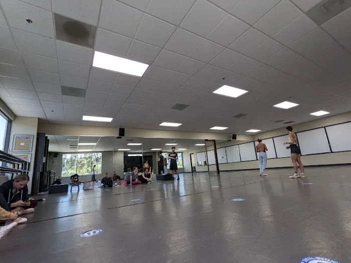 Danceology Picture 9