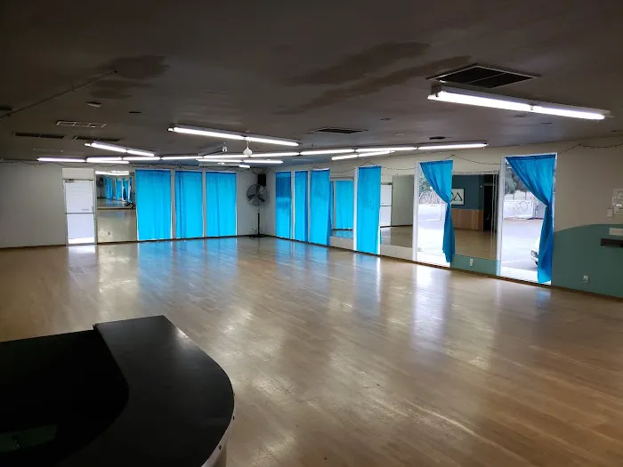 Pete & Carmen's Salsa Dance Academy Picture 4