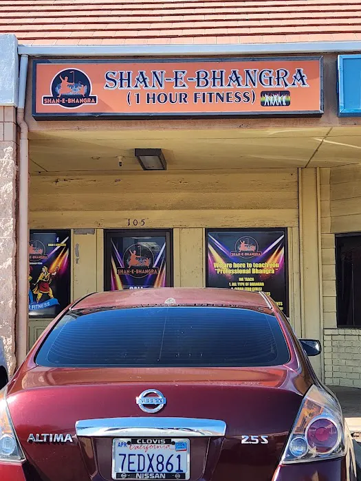 Shan-e-Bhangra Picture 3