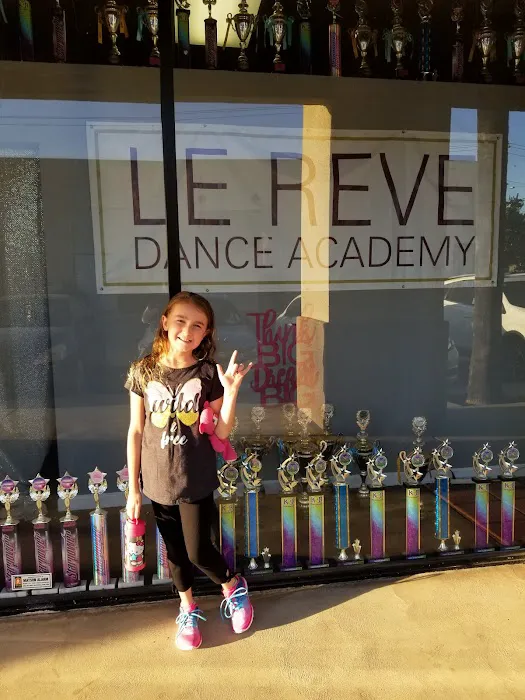 Le Reve Dance Academy Picture 5