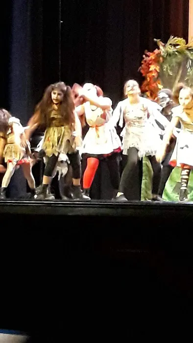 Jazzy D Studio of Dance Picture 4