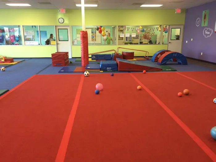 The Little Gym of Fresno Northeast Picture 5