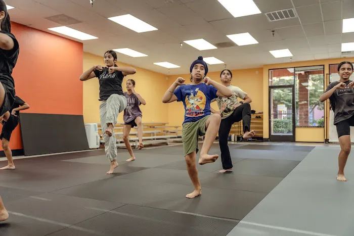Central Valley Bhangra Academy Picture 8
