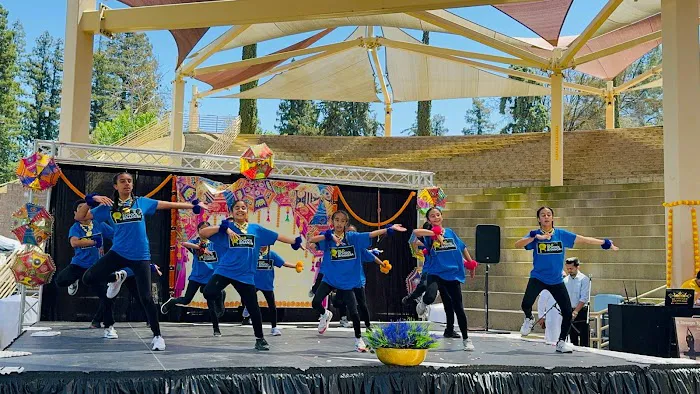 Old School Bhangra Academy Picture 4
