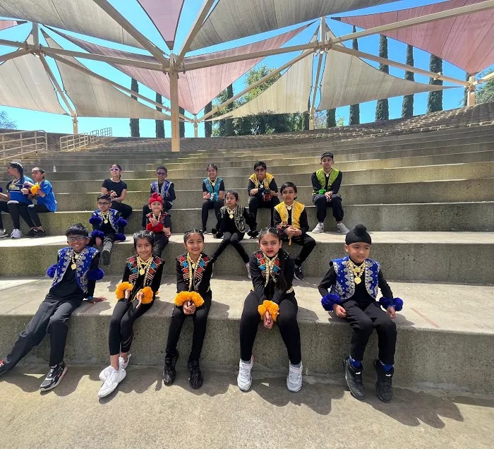 Old School Bhangra Academy Picture 6