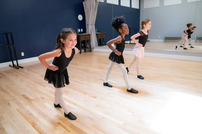 Institute of Contemporary Dance in Houston Picture 10