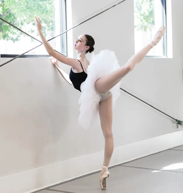 Vitacca Ballet & School For Dance, Houston Picture 1