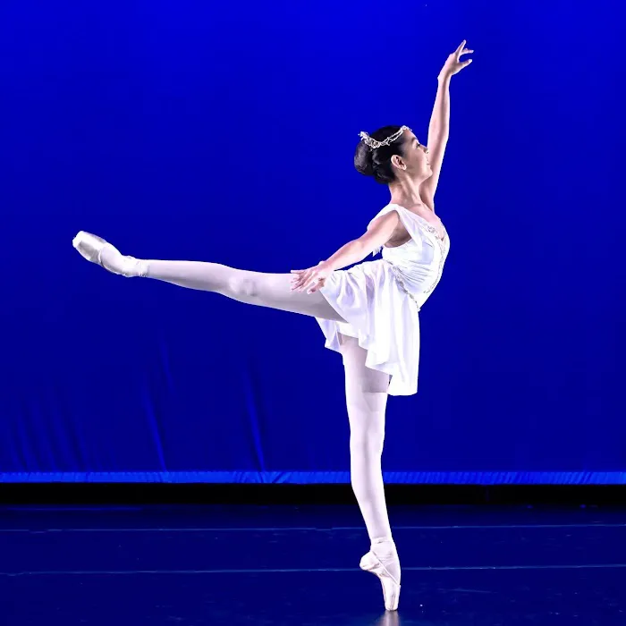Vitacca Ballet & School For Dance, Houston Picture 7
