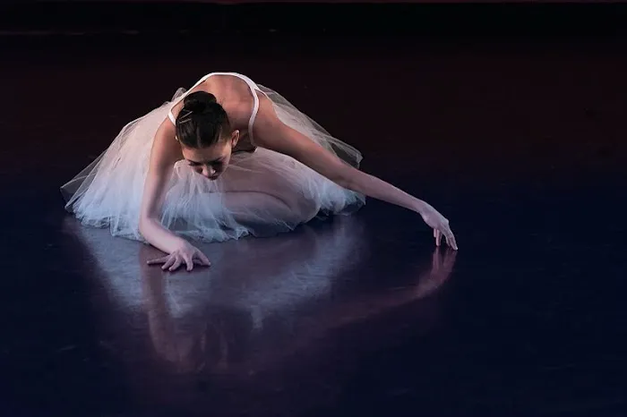 Vitacca Ballet & School For Dance, Houston Picture 8