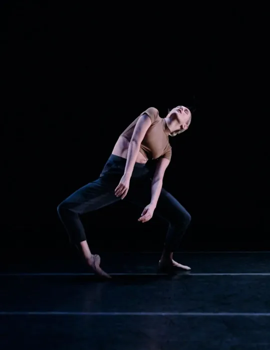 Vitacca Ballet & School For Dance, Houston Picture 10