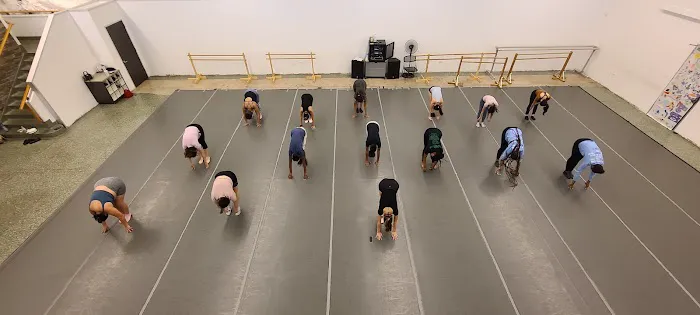 Houston Metropolitan Dance Center Picture 2