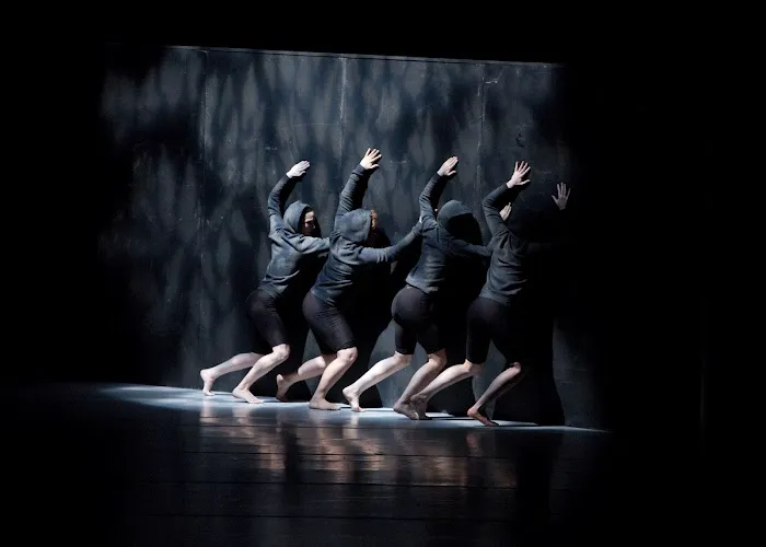 Houston Metropolitan Dance Center Picture 8