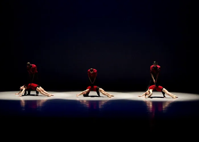 Houston Metropolitan Dance Center Picture 9