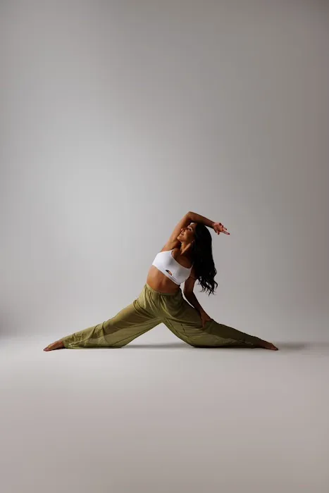 The Dance Barre HTX Picture 2