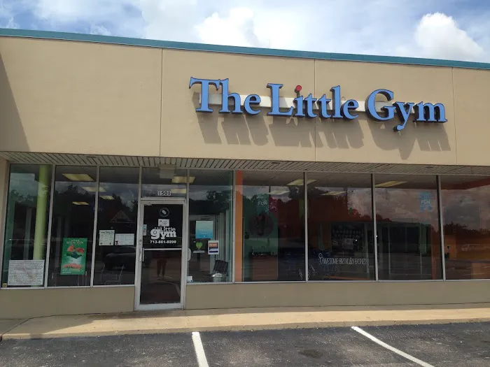 The Little Gym of Houston Heights Picture 4