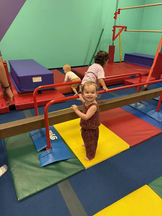 The Little Gym of Houston Heights Picture 3