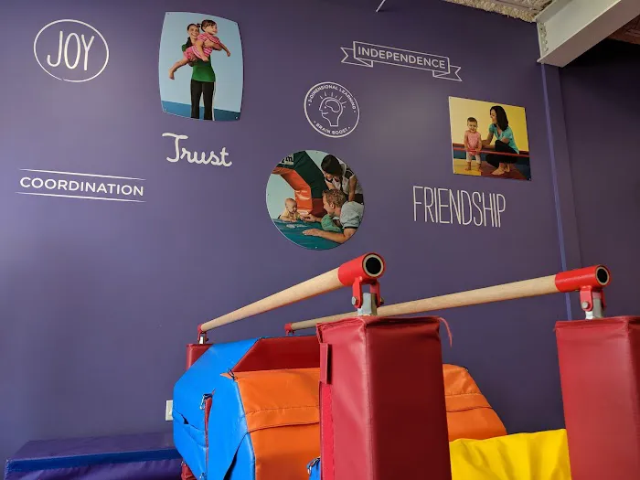 The Little Gym of Houston Heights Picture 2