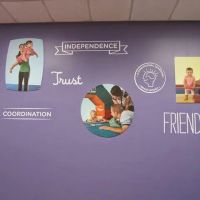 The Little Gym of Houston-Bellaire ico