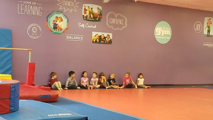 The Little Gym of Houston-Bellaire Picture 6
