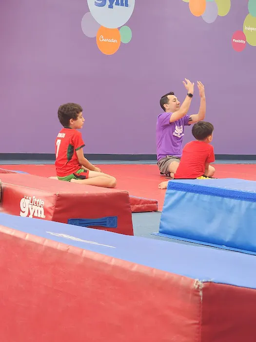 The Little Gym of Houston-Bellaire Picture 5