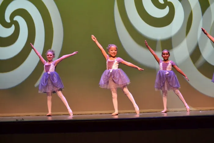 Twin Arts Dance Studio Picture 3