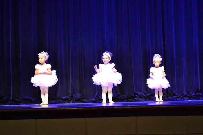 Twin Arts Dance Studio Picture 4