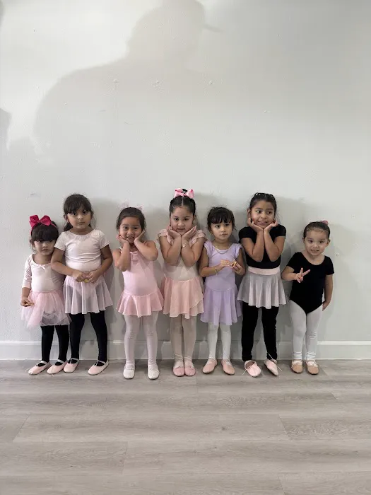 Fer Dance Studio Picture 4