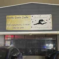 Nicolias Dance Studio ico