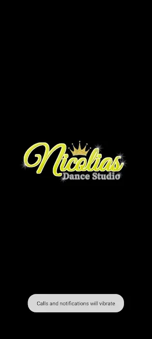 Nicolias Dance Studio Picture 2