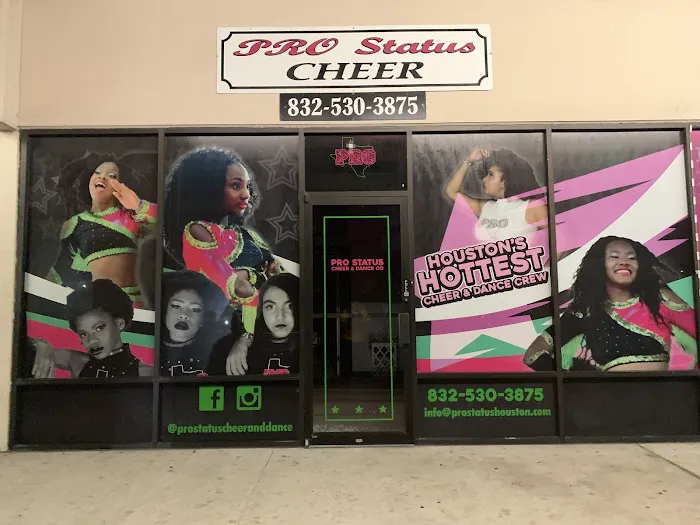 Pro Status Houston Picture 3