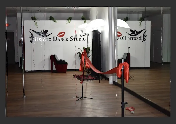 Exotic Dance Studio Picture 1