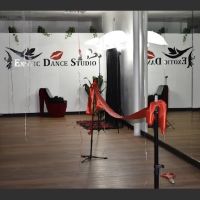 Exotic Dance Studio ico