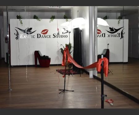 Exotic Dance Studio