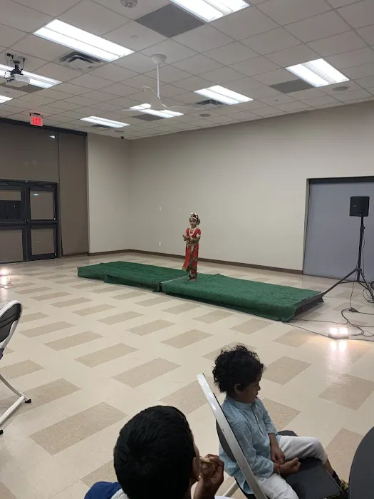 Natyavani Institute of Dance and Music Picture 2