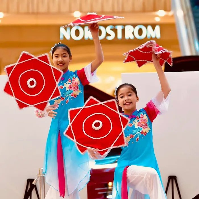 Dance of Asian America Picture 2