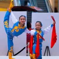 Dance of Asian America ico