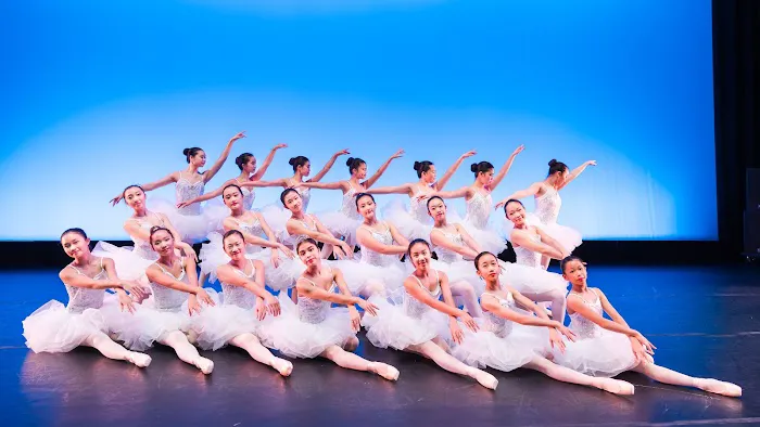 Dance of Asian America Picture 5
