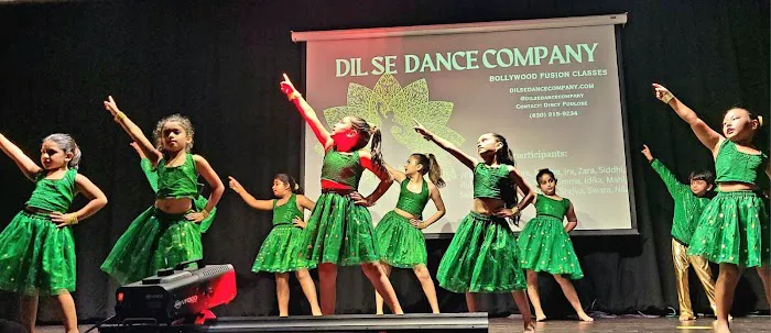 Dil Se Dance Company Picture 3