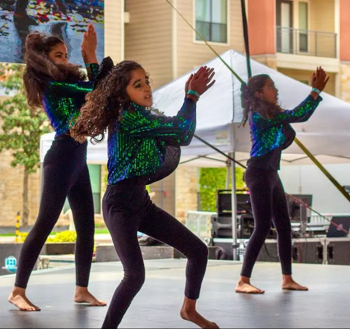 Dil Se Dance Company Picture 7