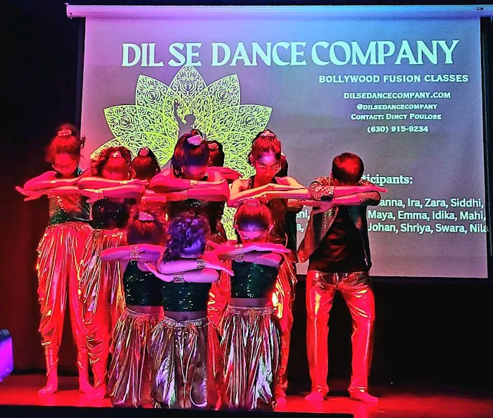 Dil Se Dance Company Picture 6