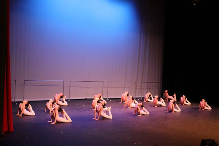 Rachel Dance Academy 休斯顿瑞雪舞蹈学校 Picture 2