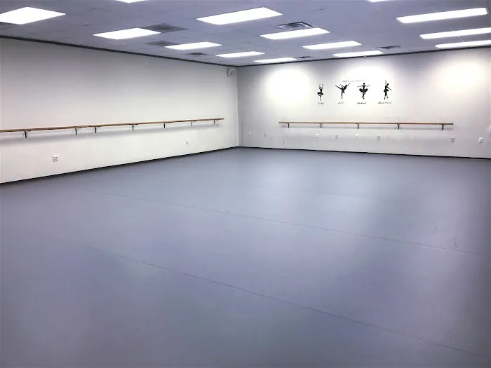 Rachel Dance Academy 休斯顿瑞雪舞蹈学校 Picture 6