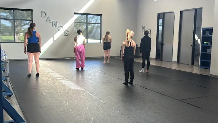 Diversity in Dance Picture 2
